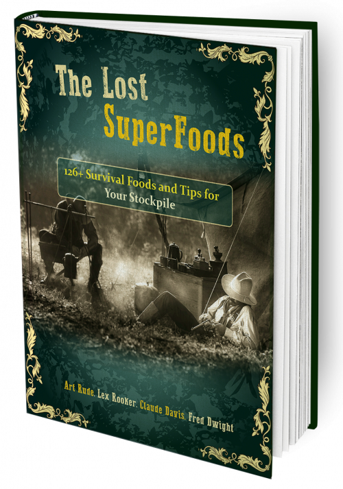 The Lost SuperFoods Book